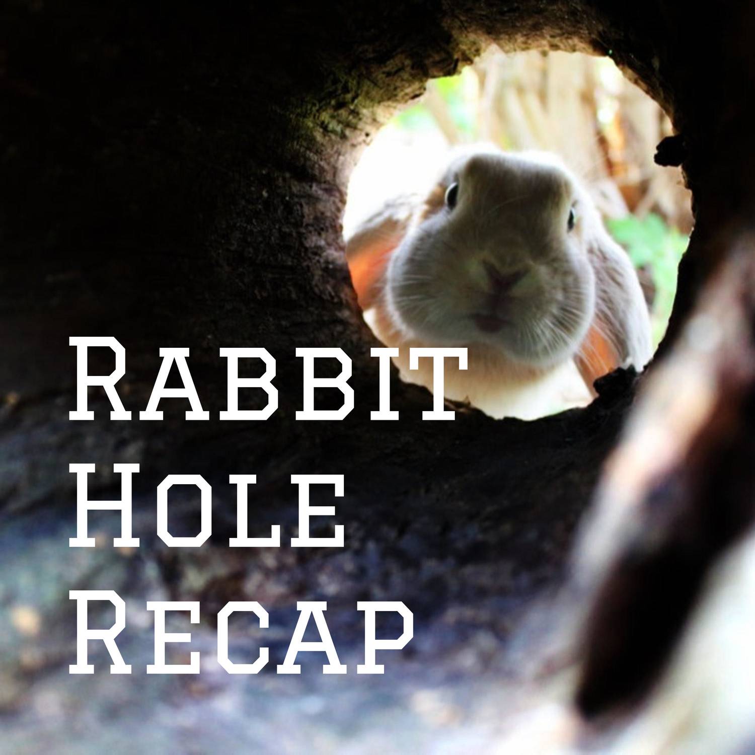 Rabbit Hole Recap