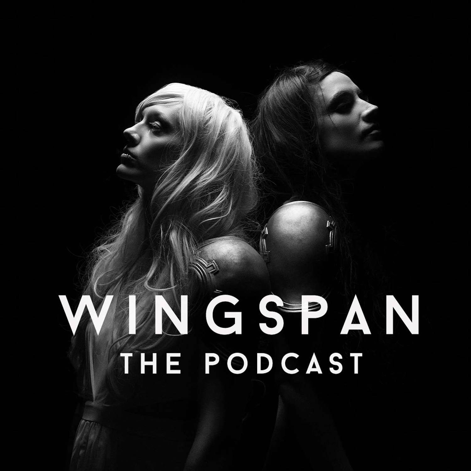 Wingspan: The Highs and Lows of Being a Musician podcast artwork