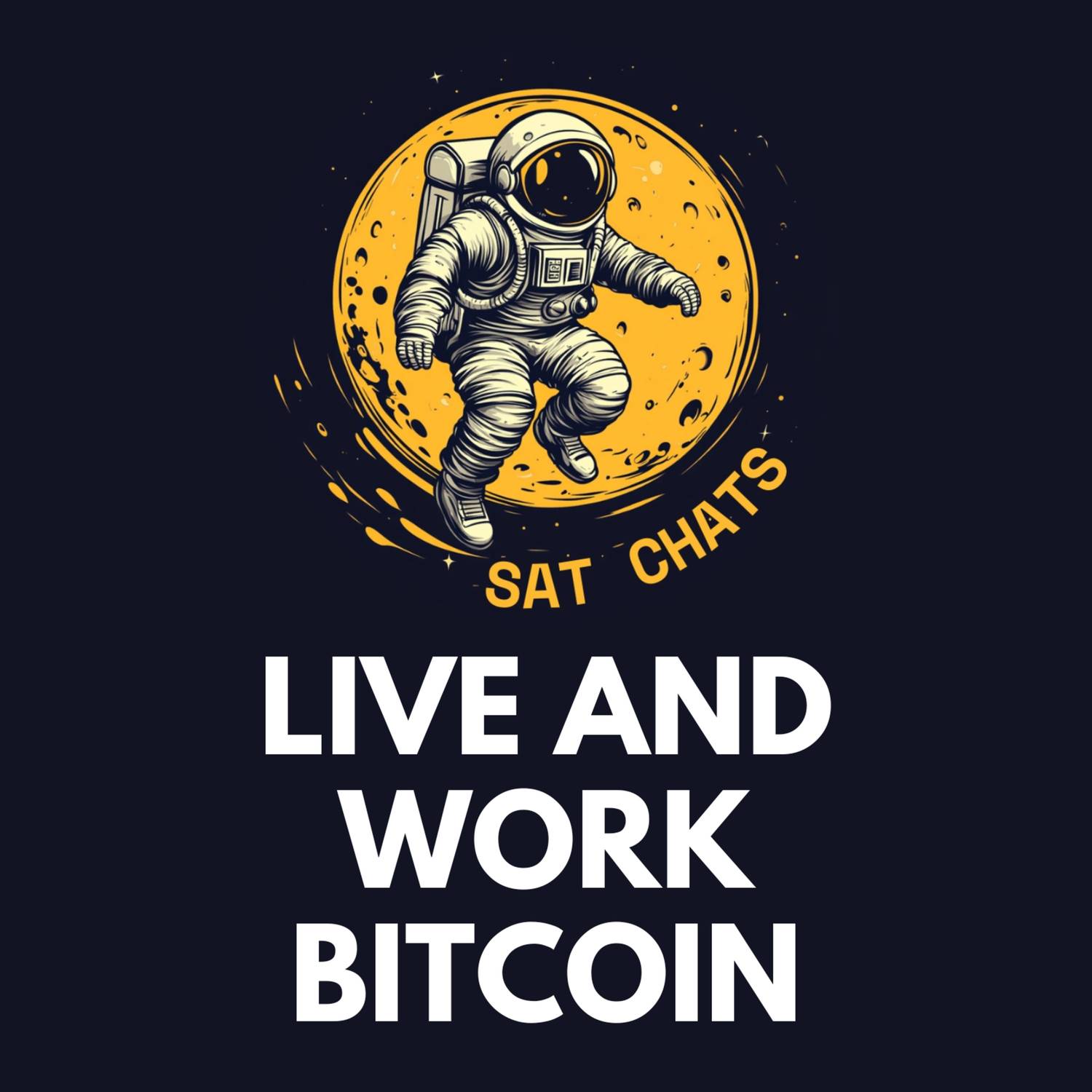 What’s a Bitcoin Business Standard? | Ep. 49 — #49 Daniel