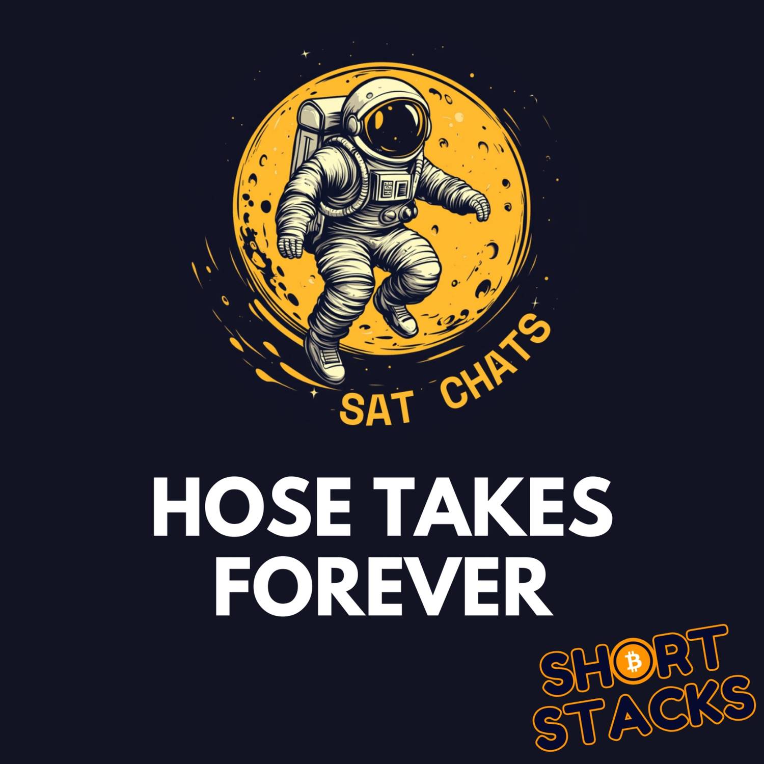 Does Bitcoin’s Halving Cut Its Total Supply? | Ep. 19 — Sat Chats Short Stacks