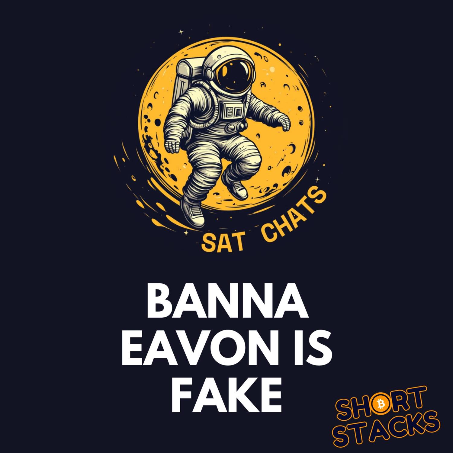 How Does the Bitcoin Blockchain Work? | Ep. 25 — Sat Chats Short Stacks