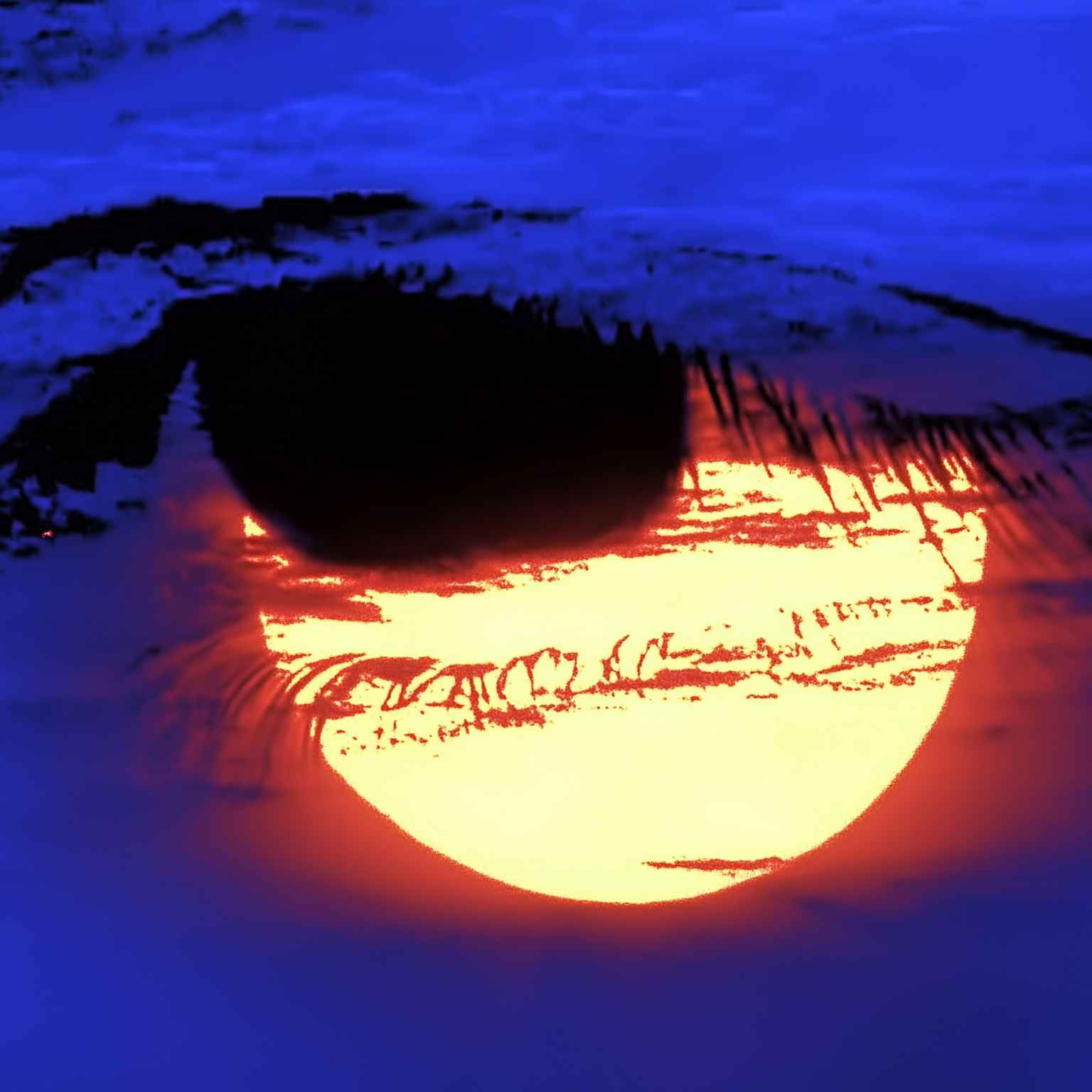 Golden Ray cover art