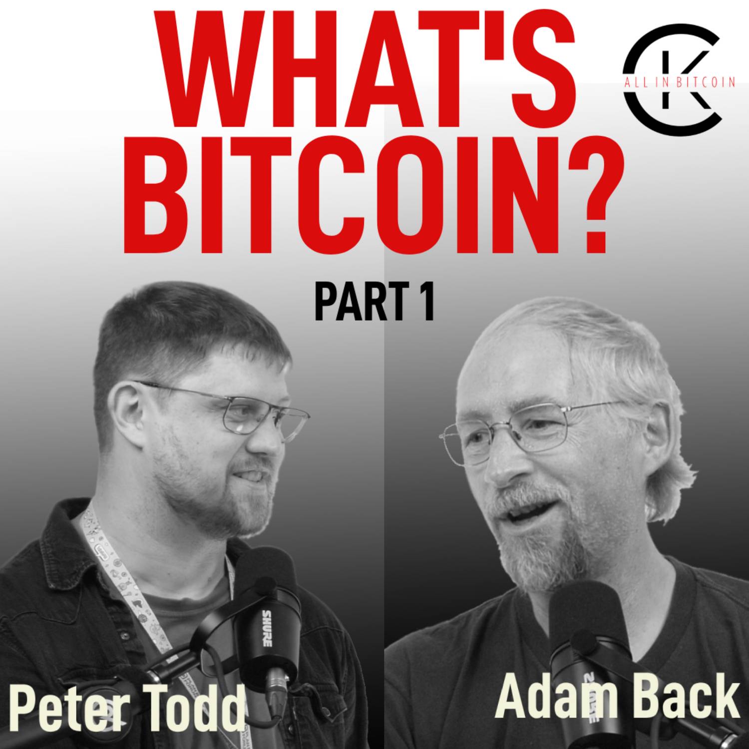 001 Episode WHAT'S BITCOIN? Part 1 with Adam Back & Peter Todd - All In Bitcoin With CK