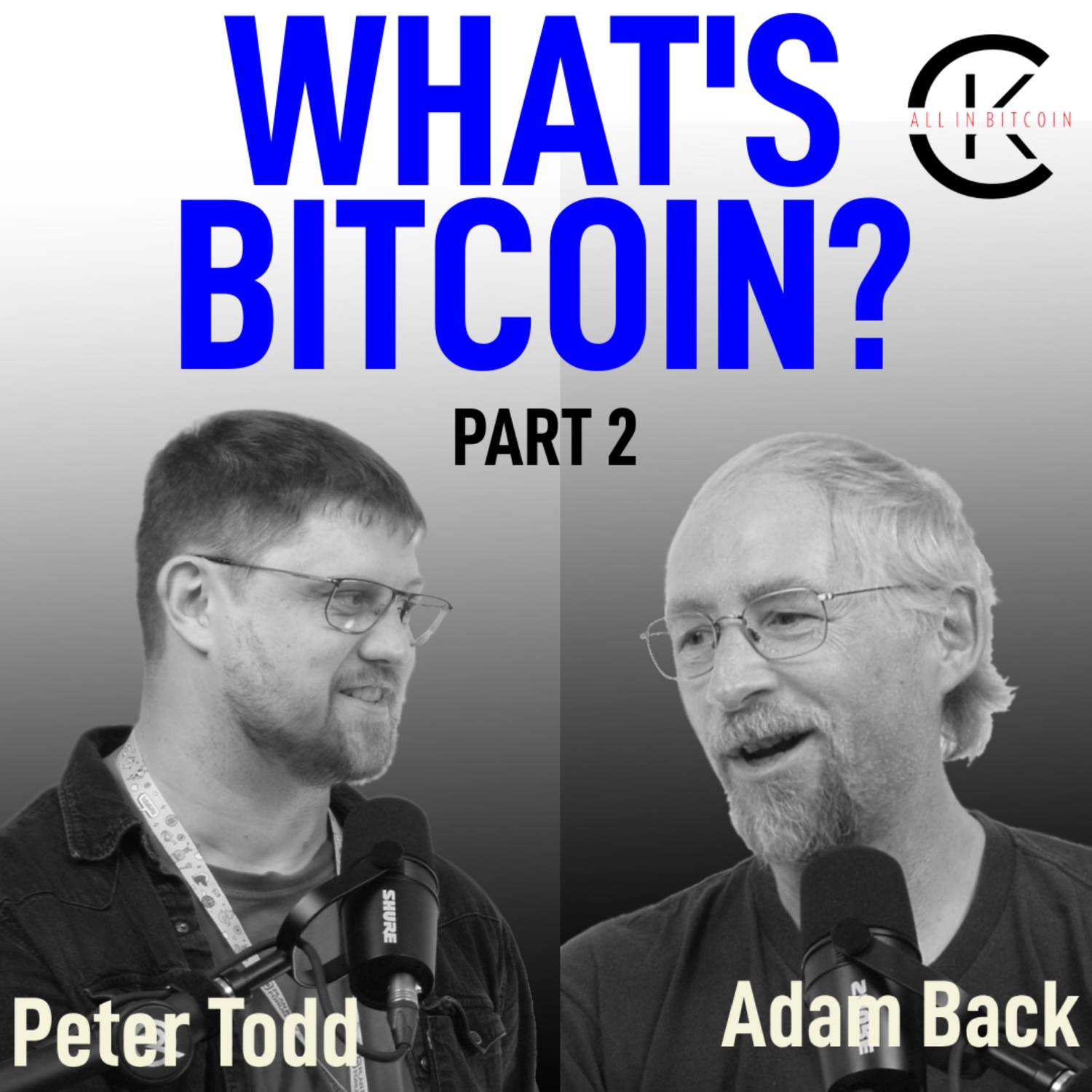 002 Episode WHAT'S BITCOIN? Part 2 with Adam Back & Peter Todd - All In Bitcoin With CK