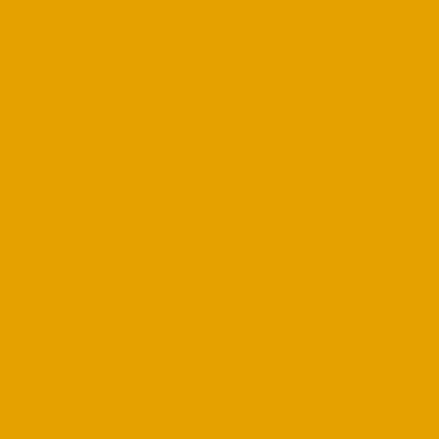 Orange Show
