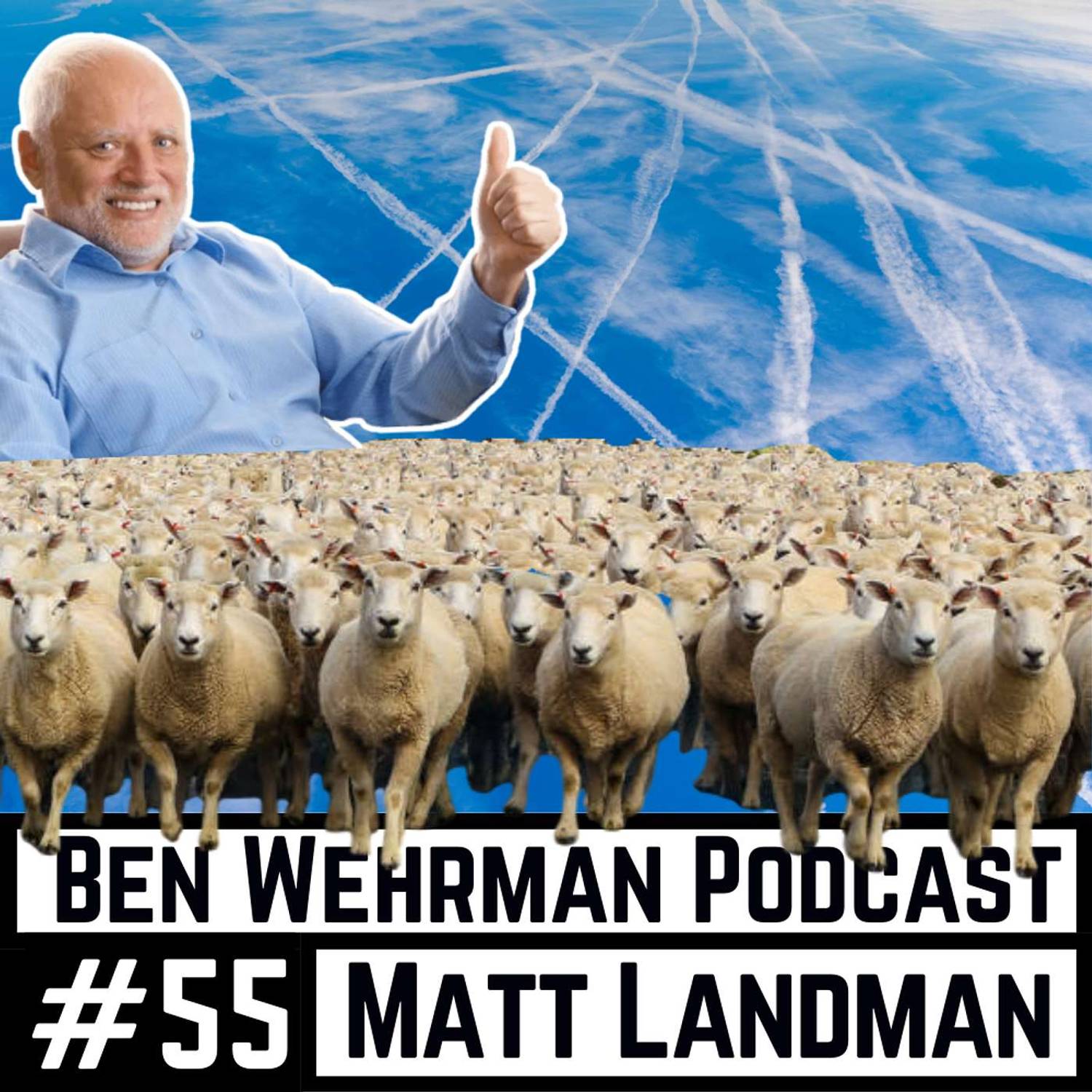 #55 Matt Landman - Geoengineering Deep Dive
