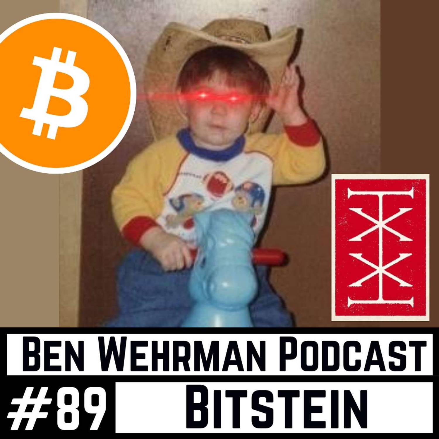 #89 Bitstein - Accelerating The Bitcoin Awakening