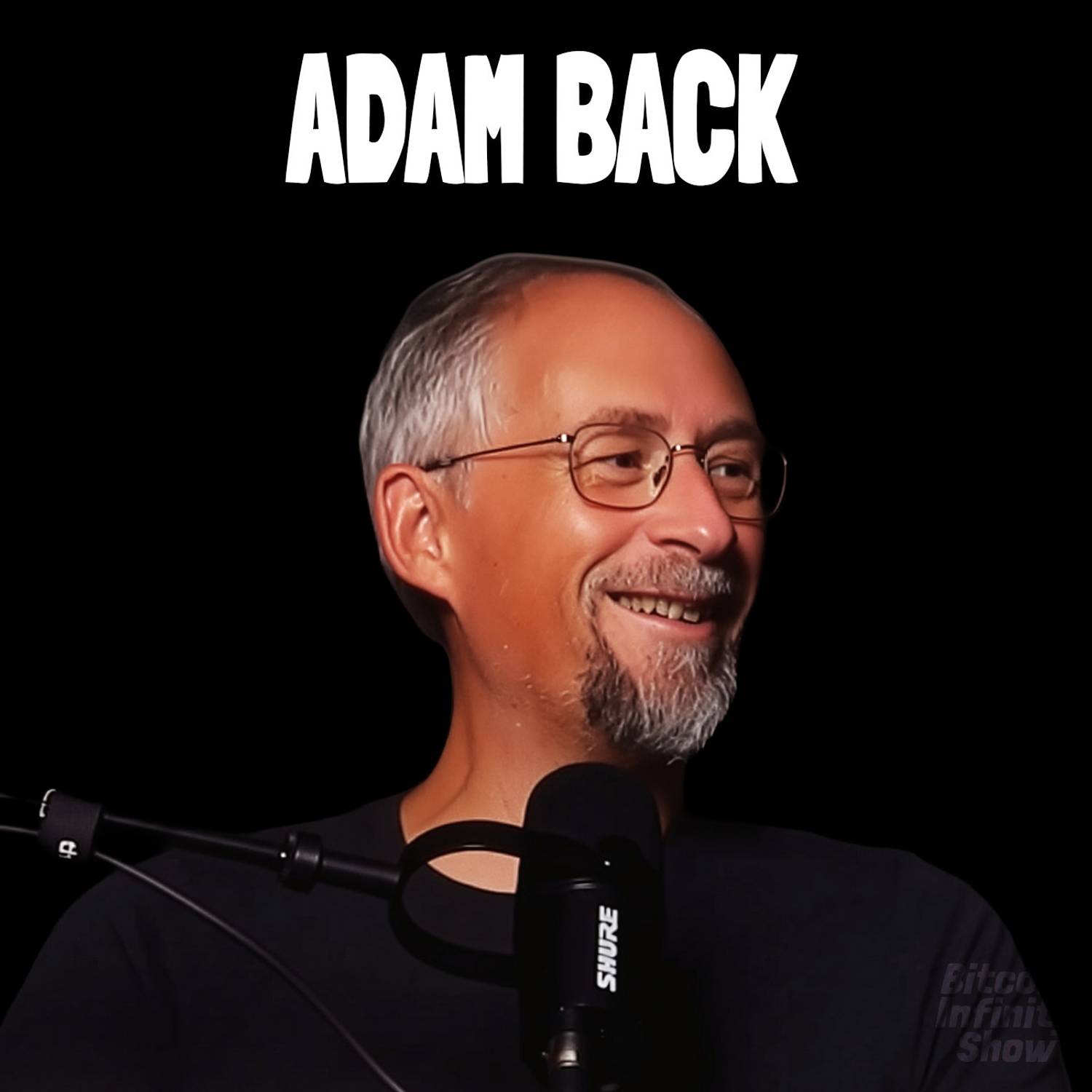 Investing in Bitcoin Treasury Companies with Adam Back | Bitcoin Infinity Show #168