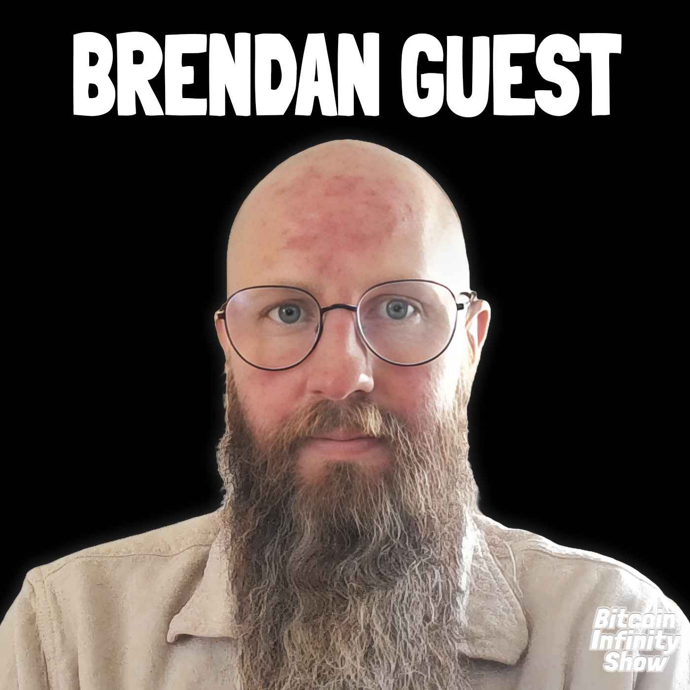 What If You Could Fire Your Government? | Brendan Guest | BIS #224
