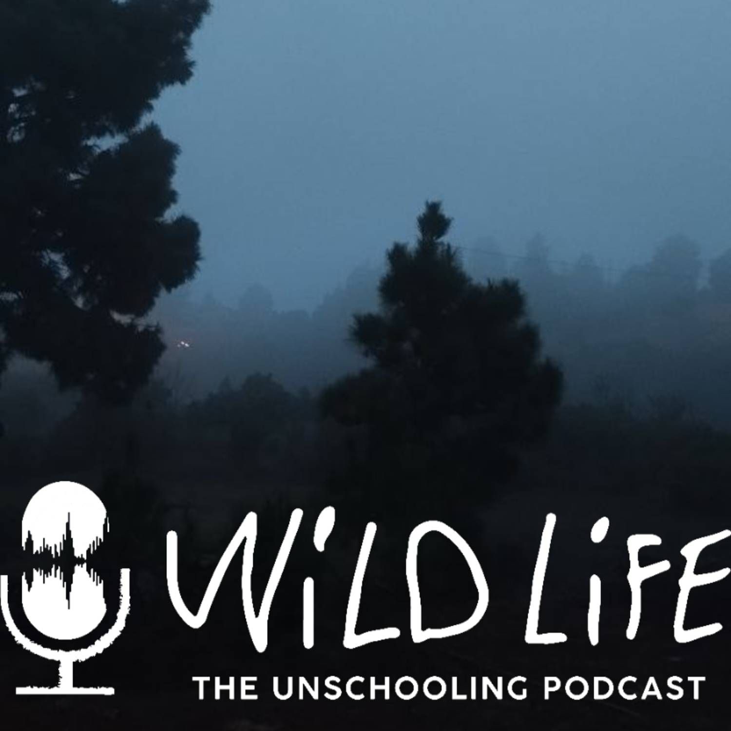 Wild Life Unschooling