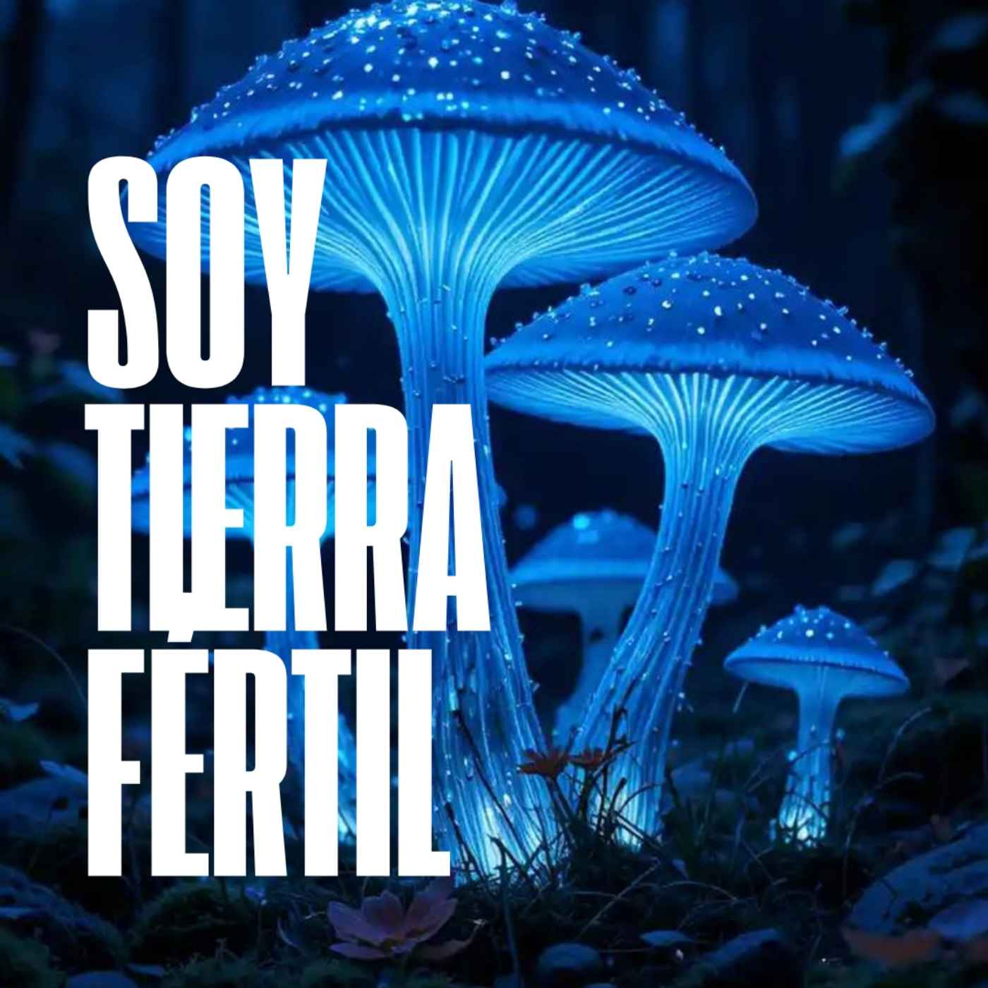 Soy Tierra Fértil