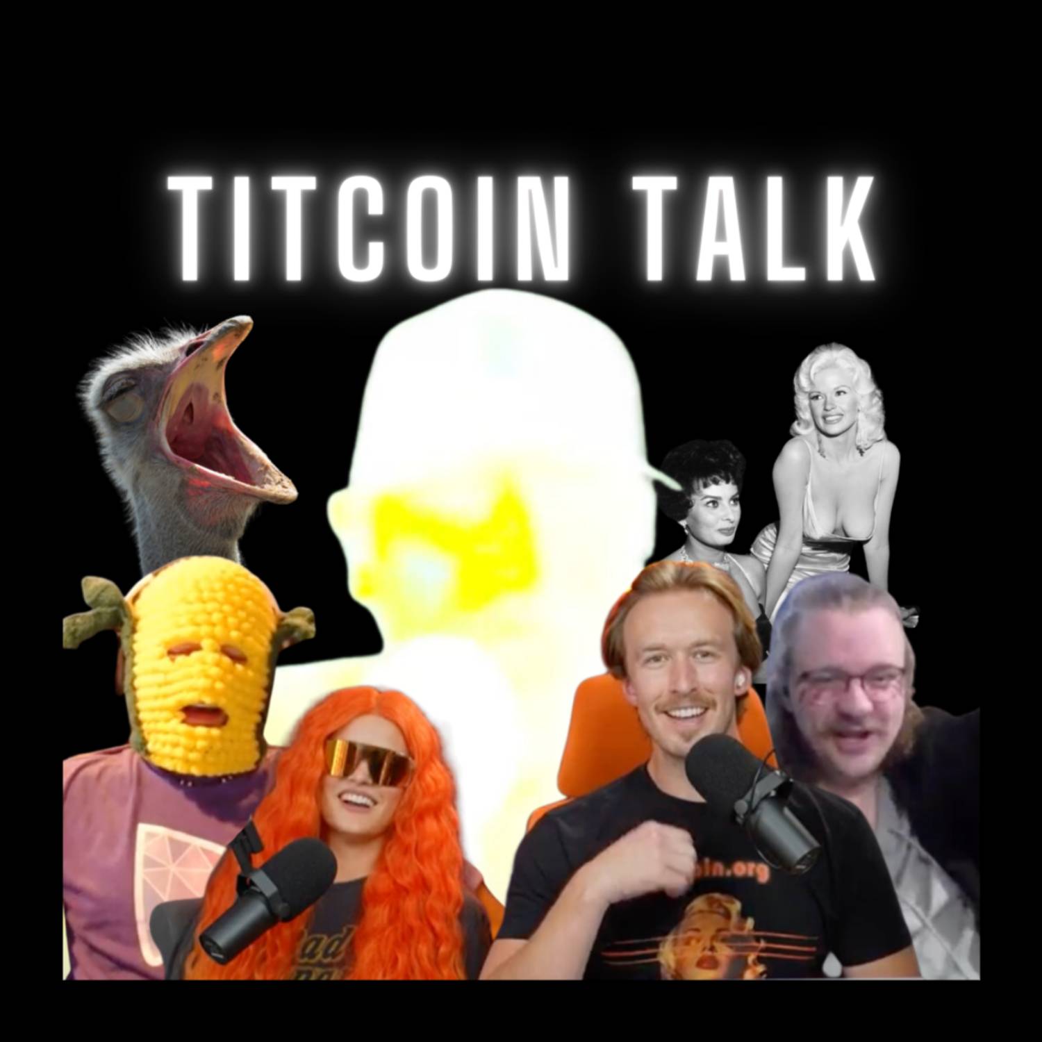 THE Bitcoin Podcast