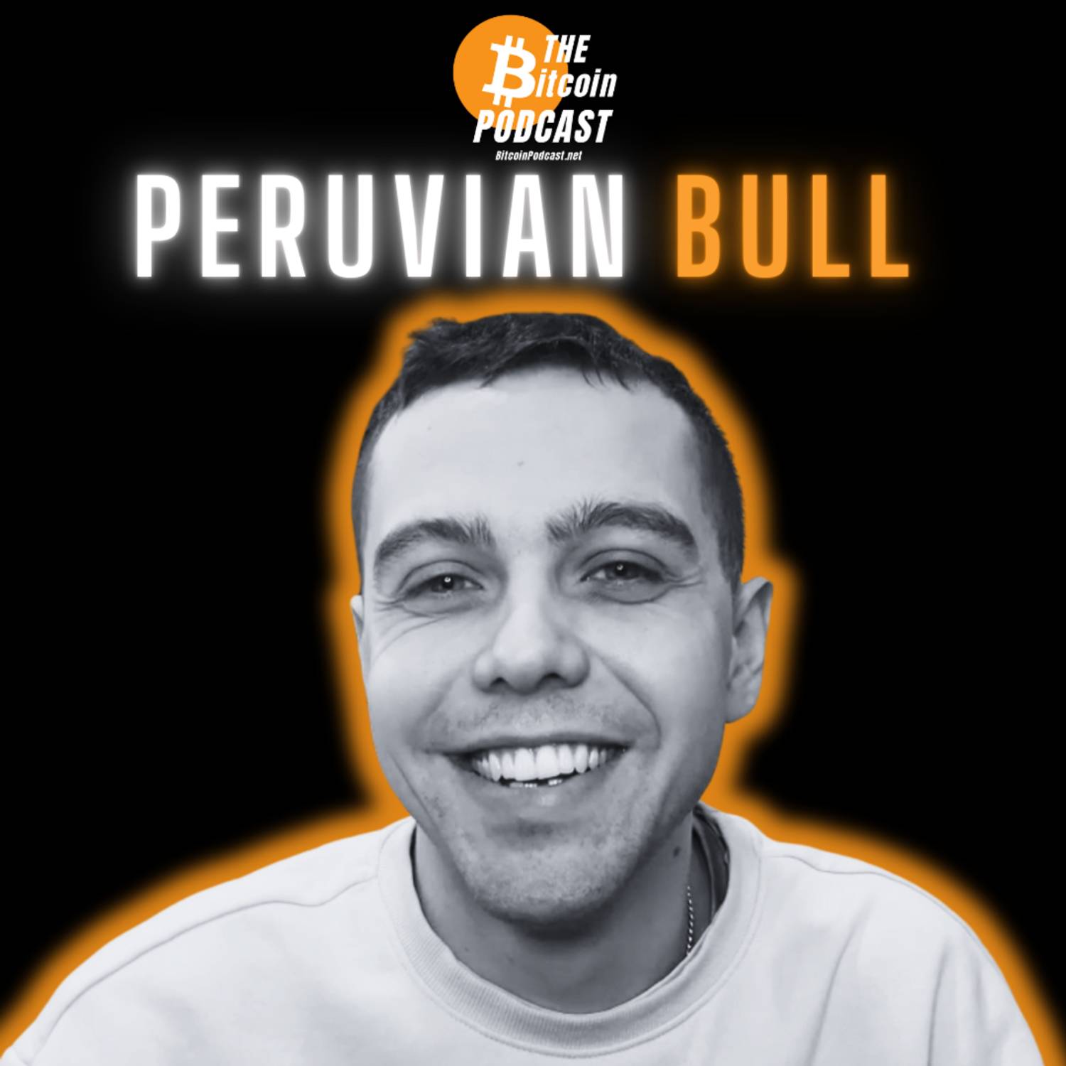 BITCOIN, GAMESTOP, GOLD & WHAT HAPPENS NEXT | Peruvian Bull (THE Bitcoin Podcast)