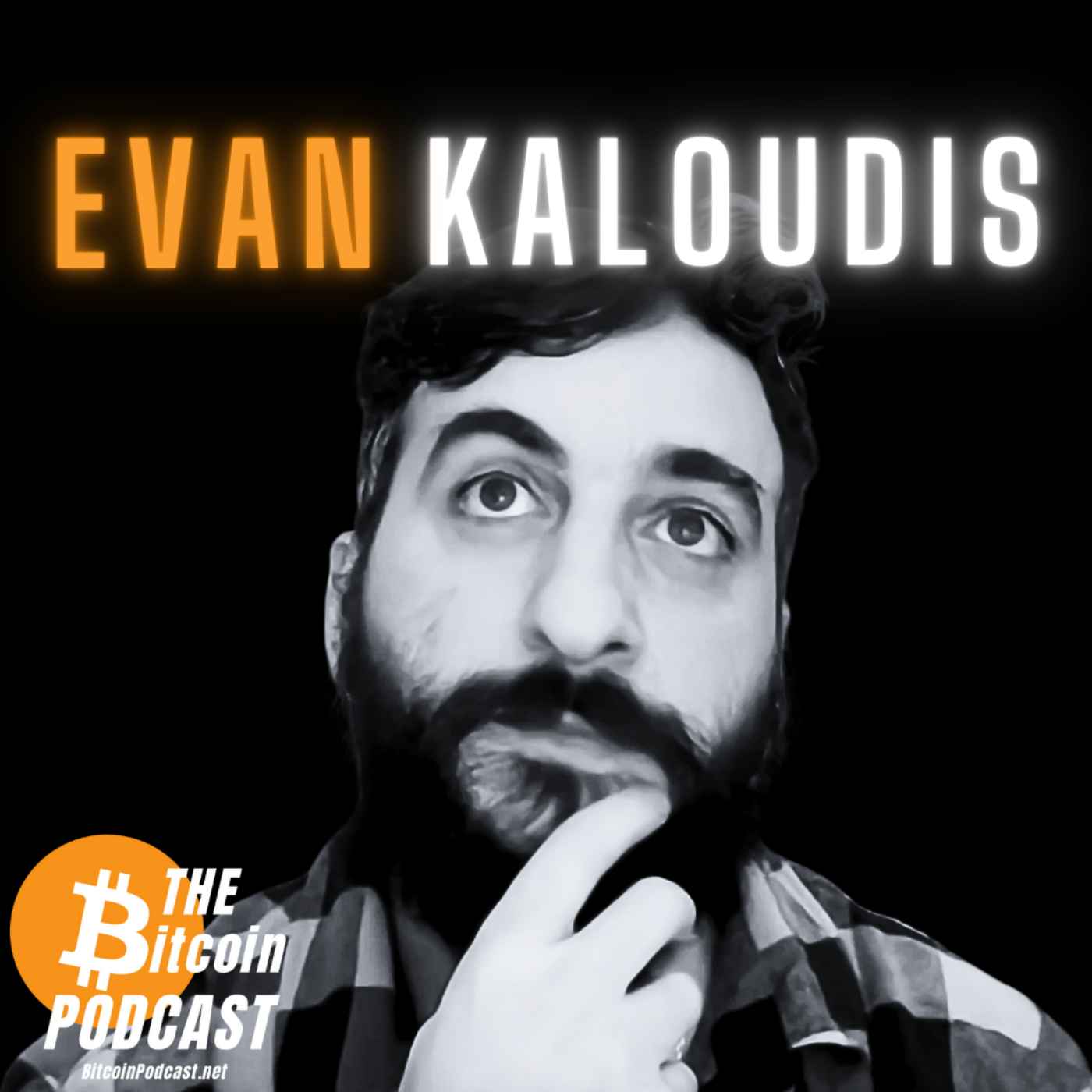 THE Bitcoin Podcast