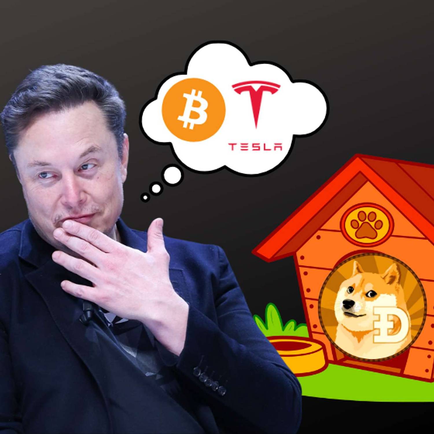 Elon Quietly Stacking Bitcoin?! - (Dogecoin in the Dog House!) | Bitcoin Banter