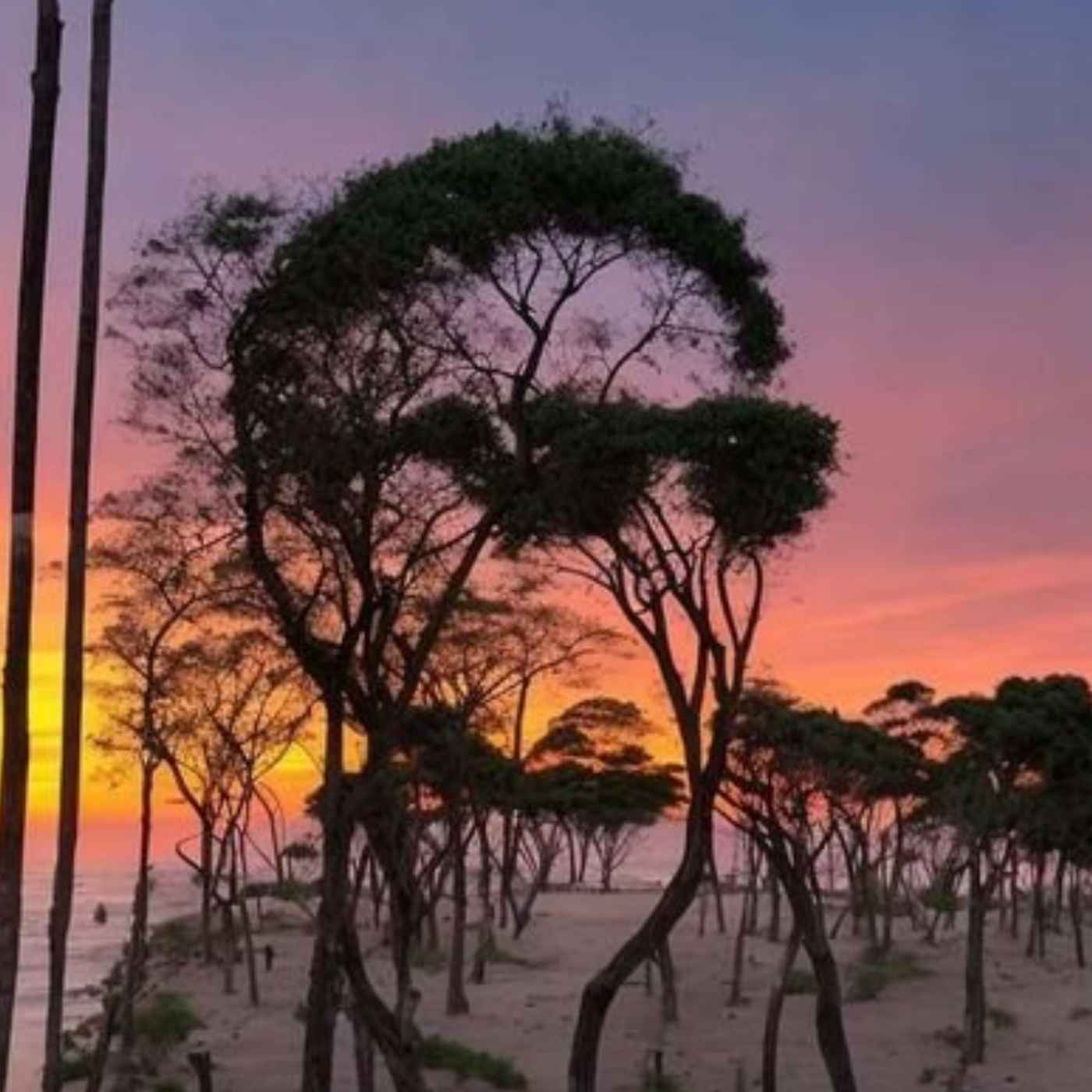 Square Merchant Bitcoin Adoption And BTC Maps - Nathan Day #598 Square Merchant Bitcoin Adoption And BTC Maps - Nathan Day #598